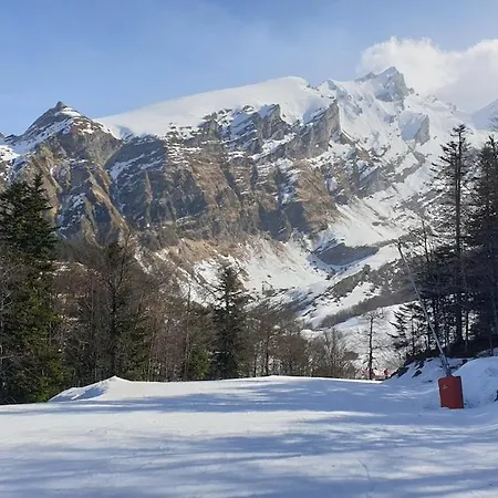 Appartamento Gourette 6 Personnes Au Pied Des Pistes